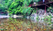 古沙沟8