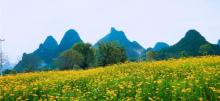 三千漓中国山水人文度假区4
