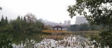 北湖公园12