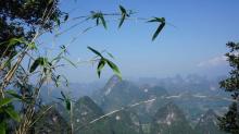 大面山8