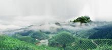 桃源梯田19