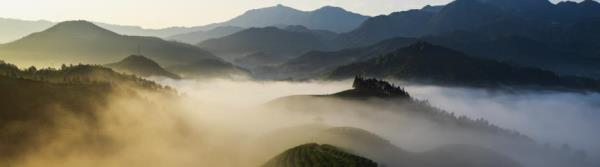 桃源梯田29