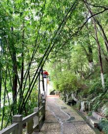 小东江观雾栈道12