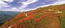 阳明山国家森林公园14