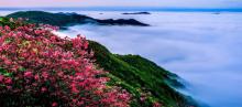 阳明山国家森林公园6