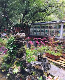 阳朔公园26