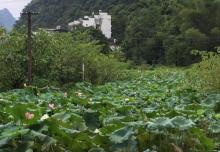 阳朔公园11