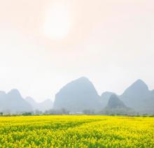 阳朔公园3