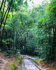 苏仙岭12