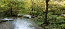 龙颈河漂流3
