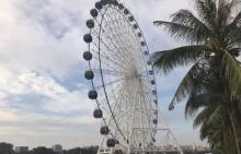 小东江24