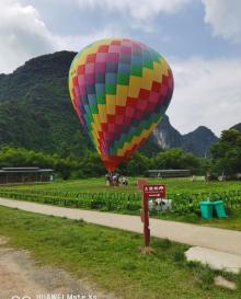 大榕树6