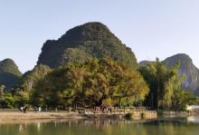 大榕树28