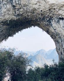 大榕树17
