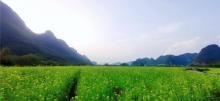 遇龙河景区7