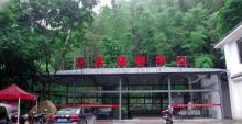 白水仙17