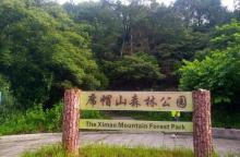 席帽山森林公园18