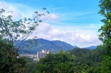 席帽山森林公园6
