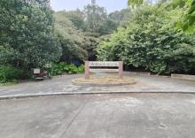 席帽山森林公园3