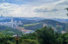 席帽山森林公园11