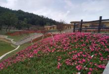 圭峰山客家文化馆6