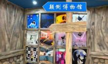 江门市颠倒博物馆1
