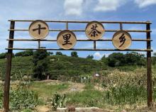 十里茶香茶场8