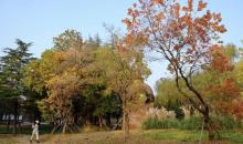 艾山风景名胜区25
