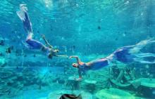 阜阳尧泰汉海海洋公园10