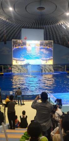 阜阳尧泰汉海海洋公园26