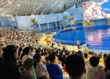 阜阳尧泰汉海海洋公园6