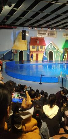 阜阳尧泰汉海海洋公园24