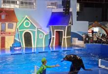 阜阳尧泰汉海海洋公园29