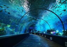 阜阳尧泰汉海海洋公园1