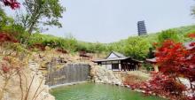 大伊山10