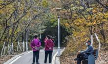 相山国家森林公园10