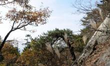 大别山主峰景区白马尖21