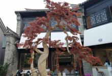 徐州市回龙窝历史文化街区3