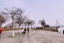 龙子湖风景区16