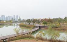 龙子湖风景区4