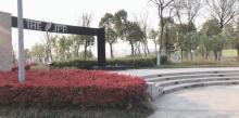 龙子湖风景区29