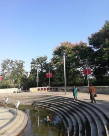 龙子湖风景区7