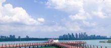 龙子湖风景区11