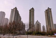 龙子湖风景区18