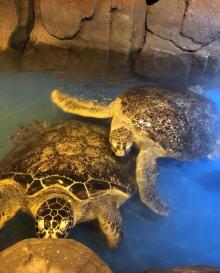 徐州海底世界23