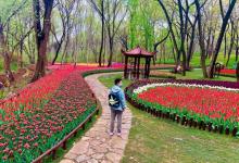 八公山风景区(国家地质公园)25