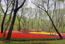 八公山风景区(国家地质公园)24