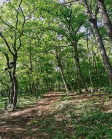 八公山风景区(国家地质公园)6