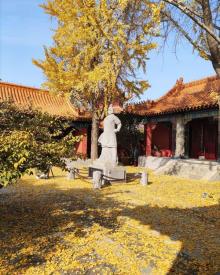 戏马台27