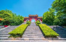 戏马台8